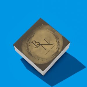 Elegant Brown Branding Concept _ BN Logo