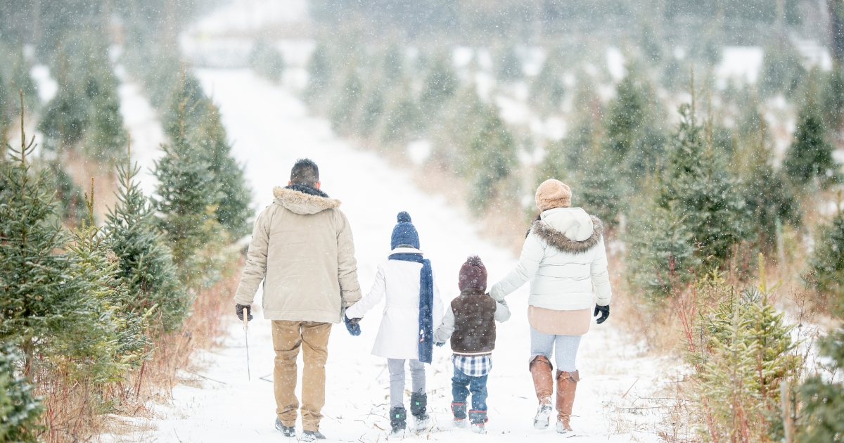 Quiet Luxury: How to Celebrate Christmas with Intention