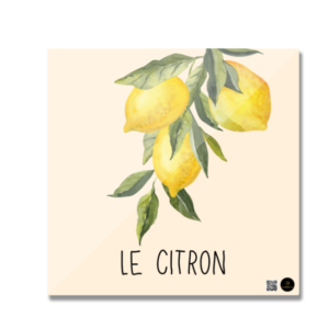 Square Fridge Magnet – Le Citron | Elegant Lemon Branch Design