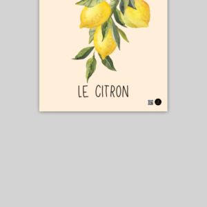 10x10 Poster – Le Citron | Elegant Lemon Branch Design