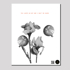 16x20 Canvas Print – The Lights Go Out and I Can’t Be Saved Parachute Floral Design
