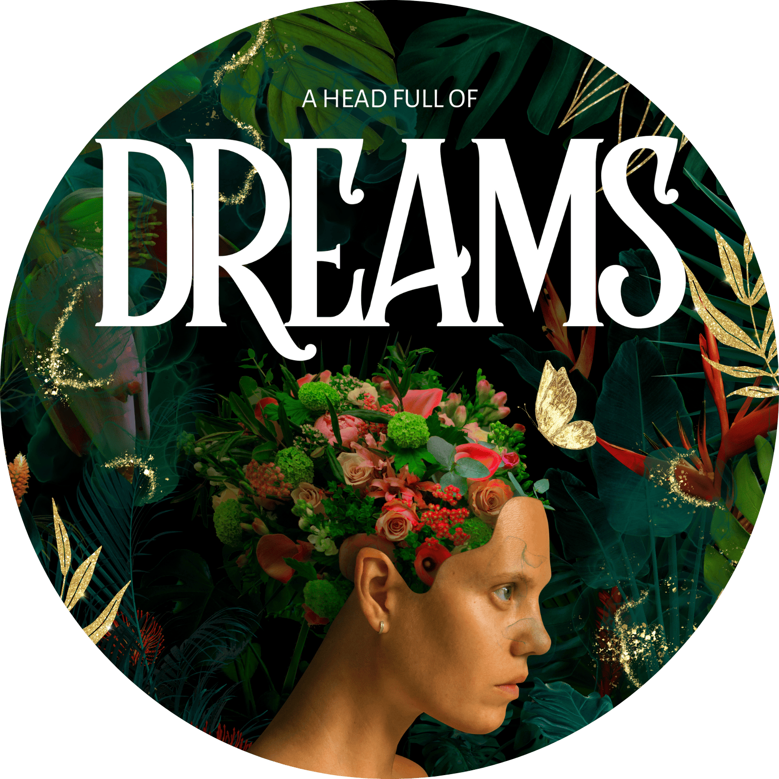 A Head Full of Dreams