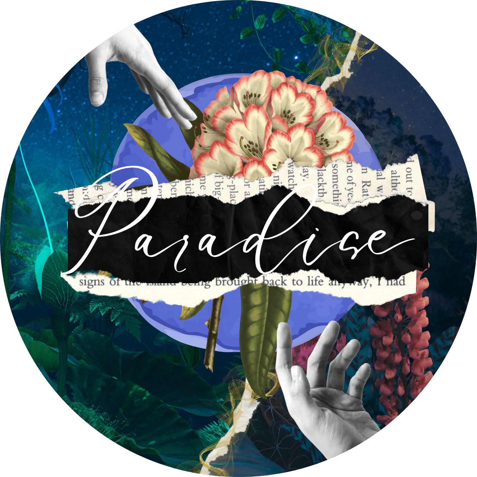 Paradise