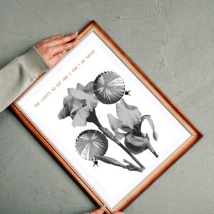 ‘The Lights Go Out and I Can’t Be Saved’ – Coldplay Inspired Wall Art – Floral and Parachute Design – 29.7x42cm – Printable and Digital Use – Instant Download