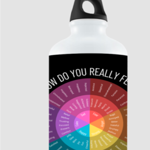 750ml Spectrum of Emotions Black Sipper Bottle – Emotion Wheel Design for Daily Reflection & Wellness