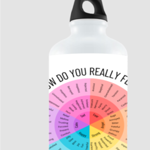 750ml Spectrum of Emotions Sipper Bottle – Emotion Wheel Design for Daily Reflection & Wellness