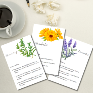 30 Herb Flashcards for Wellness | Digital Download | Herbal Healing & Natural Remedies