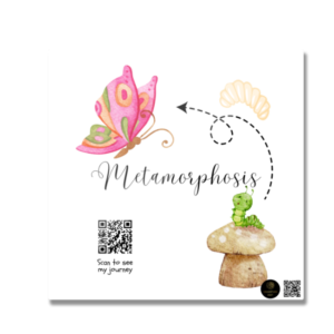 Metamorphosis Fridge Magnet – Butterfly Growth Mindset Magnet – Inspirational Magnet for Kids, Classrooms, Lockers & Wellness Spaces