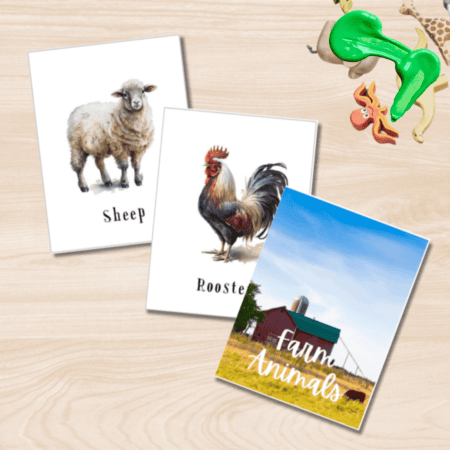 Farm Animal Flashcards for Kids – Set of 12 Printable Preschool Learning Cards | Early Education | Digital Download