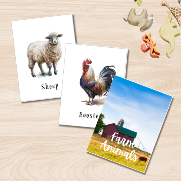 Farm Animal Flashcards for Kids – Set of 12 Printable Preschool Learning Cards | Early Education | Digital Download