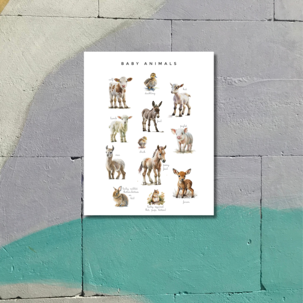 Baby Animals Poster – Watercolour Animal Names Chart for Kids