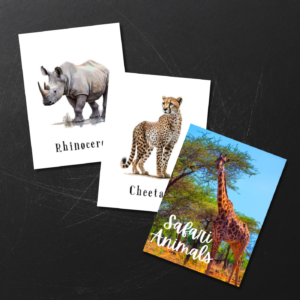 Safari Animals Flashcards for Kids – Set of 12 | Printable Wildlife Learning Cards