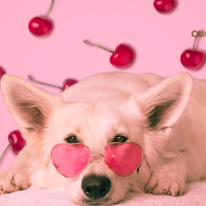 Cherry Chill