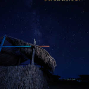 Palm Roof and Star Roof