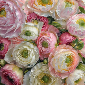 Petal Census