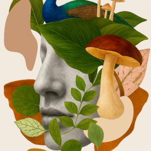 The Forest Thinks in Colour