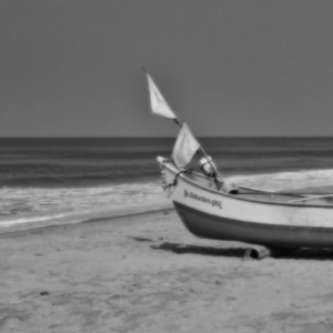 Anchored Dreams