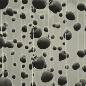 Floating Fruitscape