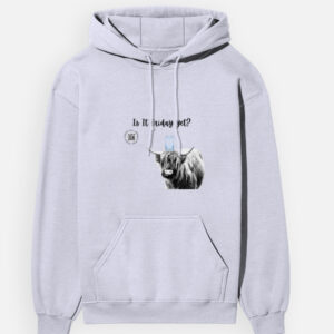 Is It Friday Yet ? - Unisex Hoodie