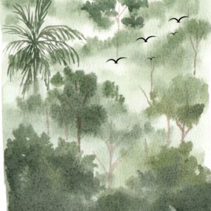 Misty Pines
