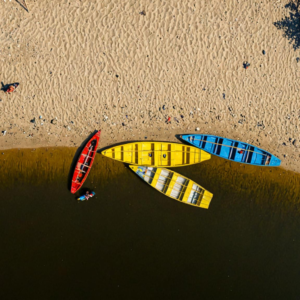 Shoreside Strokes