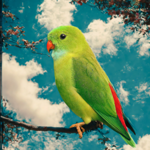 The Emerald Listener
