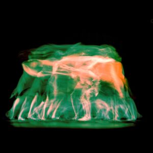 Flames in Motion