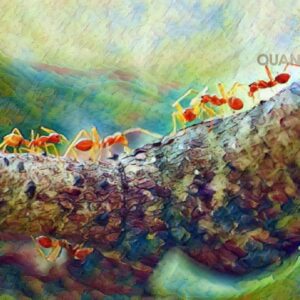 Marching Dreams