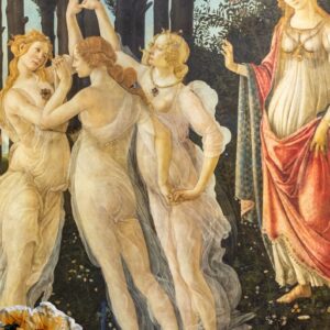 Venus and the Grace of Stillness