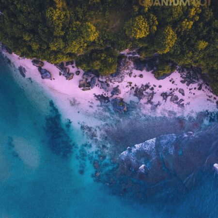 Azure Whisper Shore