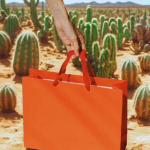 Desert Sunset Shopper