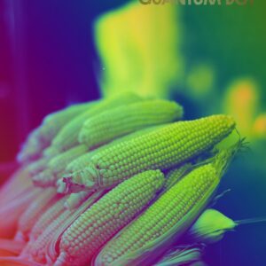 Neon Harvest