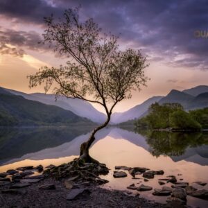 Solitude in Still Waters