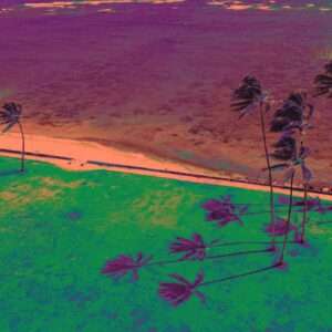 Tropical Mirage