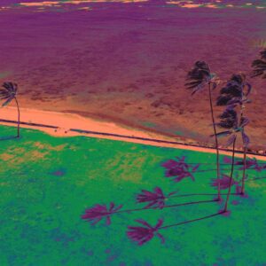 Tropical Mirage