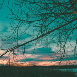 Twilight Veins