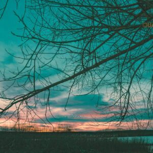 Twilight Veins