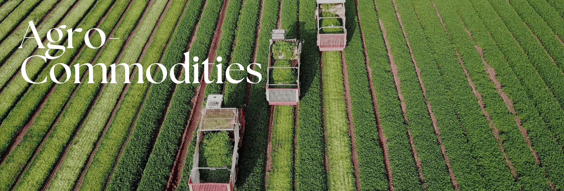Agro-Commodity