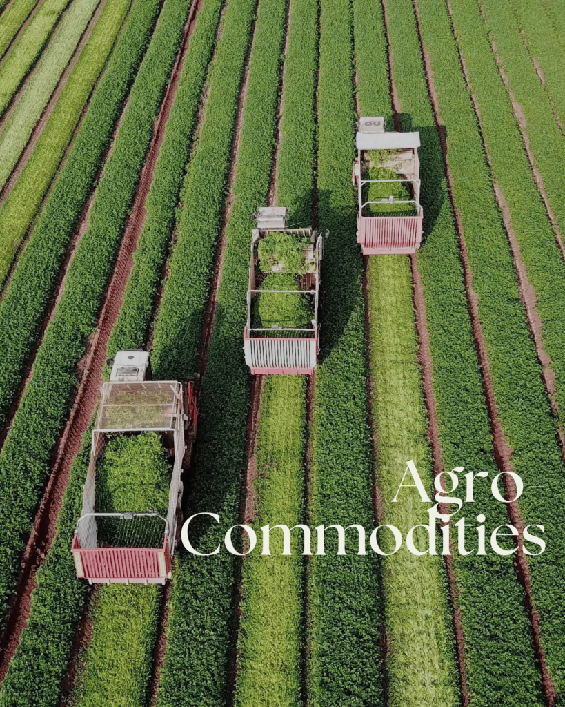 Agro Commodities